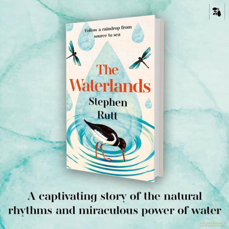 The Waterlands: Follow a Raindrop from Source to Sea - Stephen Rutt [KSIĄŻKA]