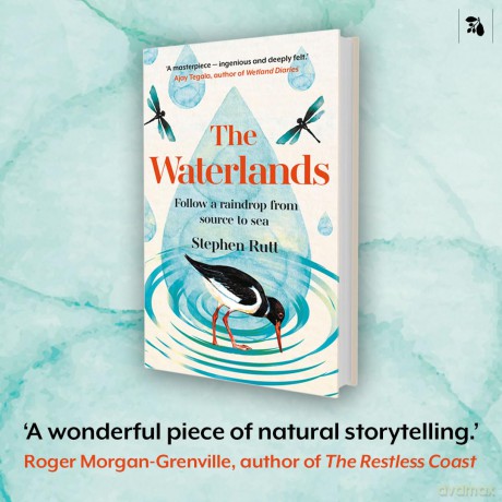 The Waterlands: Follow a Raindrop from Source to Sea - Stephen Rutt [KSIĄŻKA]