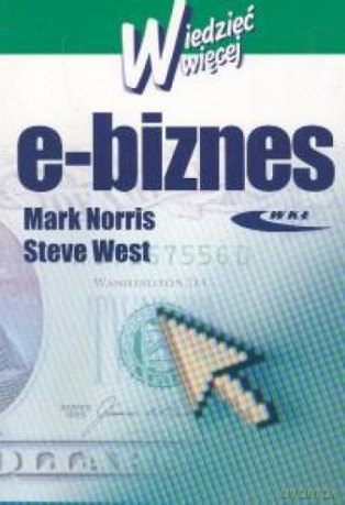 E-biznes. Wiedzieć więcej [KSIĄŻKA]