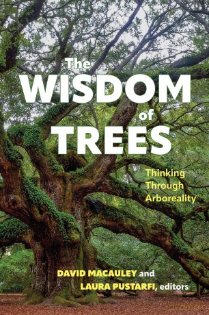 The Wisdom of Trees: Thinking Through Arboreality (SUNY series in Environmental Philosophy and Ethics) - Macauley [KSIĄŻKA]