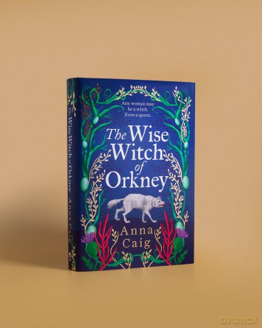 The Wise Witch of Orkney: A spell-binding debut novel about Scotland's witch-hunting hysteria - Anna Caig [KSIĄŻKA]
