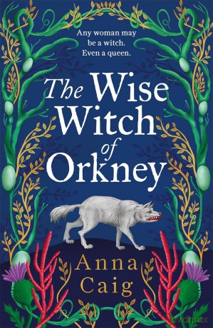The Wise Witch of Orkney: A spell-binding debut novel about Scotland's witch-hunting hysteria - Anna Caig [KSIĄŻKA]