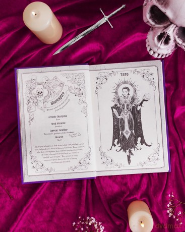 These Shattered Spires: A queer, gothic fantasy YA, perfect for fans of The Atlas Six and Gideon the Ninth (Wyrdos) - Cassidy E Salter [KSIĄŻKA]