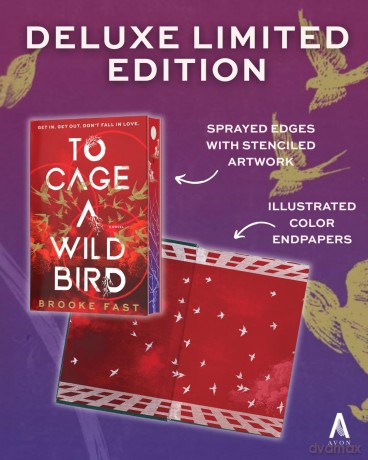 To Cage a Wild Bird (Deluxe Limited Edition): A Fast-paced Dystopian Romance: 1 (Divided Fates) - Brooke Fast [KSIĄŻKA]