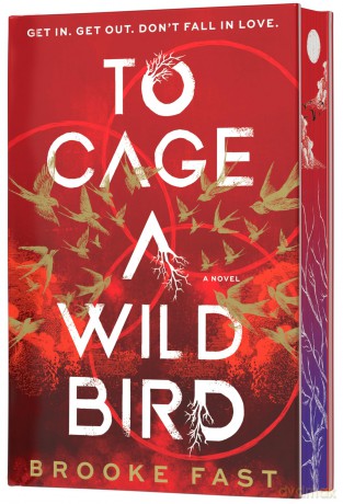 To Cage a Wild Bird (Deluxe Limited Edition): A Fast-paced Dystopian Romance: 1 (Divided Fates) - Brooke Fast [KSIĄŻKA]