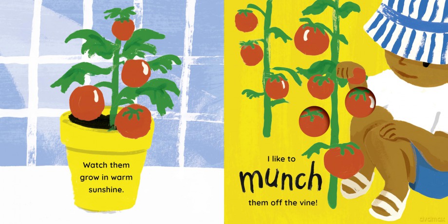 Tomato, Tomato, Tomato! | With peep-through holes on every page! (Yum, Yum, Yum) - Sarah Finan [KSIĄŻKA]