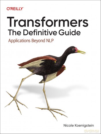 Transformers: The Definitive Guide: Applications Beyond NLP - Nicole Koenigstein [KSIĄŻKA]