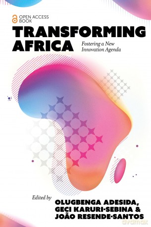 Transforming Africa: Fostering a New Innovation Agenda - Olugbenga Adesida [KSIĄŻKA]