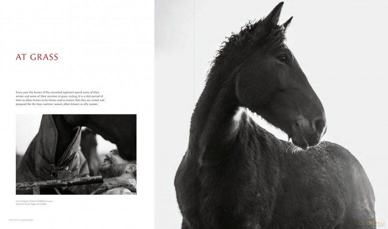 Trusted Guardians: Inside the Mounted Regiment - Glen Rokeberg [KSIĄŻKA]