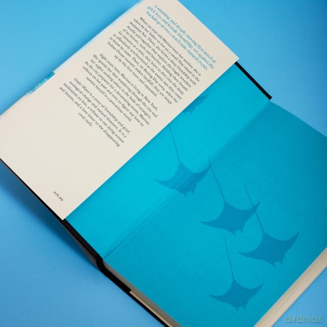 Under Water: 'Stunning' Sunday Times - Tara Menon [KSIĄŻKA]