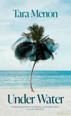 Under Water: 'Stunning' Sunday Times - Tara Menon [KSIĄŻKA]