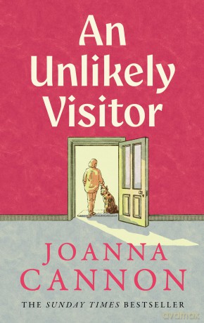 Unlikely Visitor - Joanna Cannon [KSIĄŻKA]