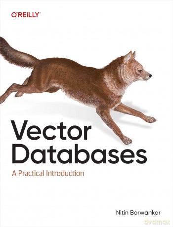 Vector Databases: A Practical Introduction [KSIĄŻKA]