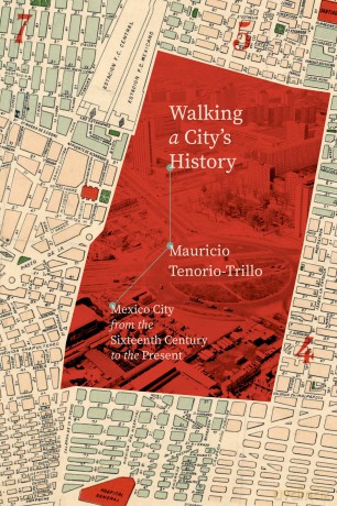 Walking a City's History: Mexico City from the Sixteenth Century to the Present [KSIĄŻKA]