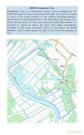 Walking and Exploring the Southern Broads - Joe Jackson [KSIĄŻKA]