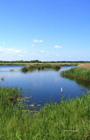 Walking and Exploring the Southern Broads - Joe Jackson [KSIĄŻKA]