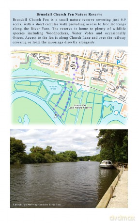 Walking and Exploring the Southern Broads - Joe Jackson [KSIĄŻKA]