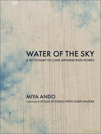 Water of the Sky: A Dictionary of 2,000 Japanese Rain Words - Miya Ando [KSIĄŻKA]