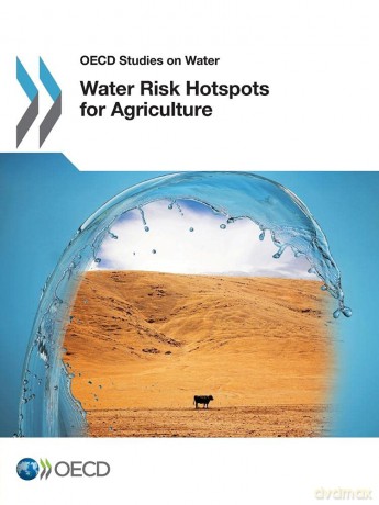 Water Risk Hotspots for Agriculture (OECD Report Series) - For Economic Co-Oper [KSIĄŻKA]
