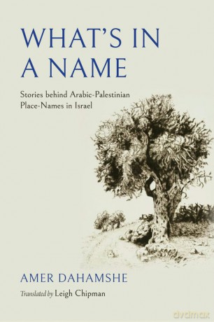 What's in a Name: Stories Behind Arabic-Palestinian Place-Names in Israel (Olamot Series in Humanities and Social Sciences) - Amer Dahamshe [KSIĄŻKA]