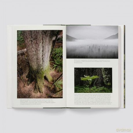 When the Forest Breathes: Renewal and Resilience in the Natural World - Suzanne Simard [KSIĄŻKA]
