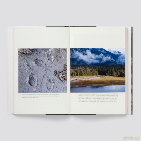 When the Forest Breathes: Renewal and Resilience in the Natural World - Suzanne Simard [KSIĄŻKA]