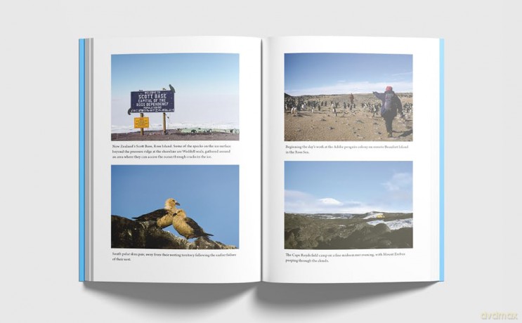 Where the Earth Meets the Sky: Penguins, People and Place in Antarctica - Louise K Blight [KSIĄŻKA]