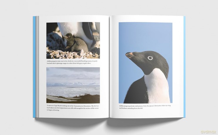 Where the Earth Meets the Sky: Penguins, People and Place in Antarctica - Louise K Blight [KSIĄŻKA]