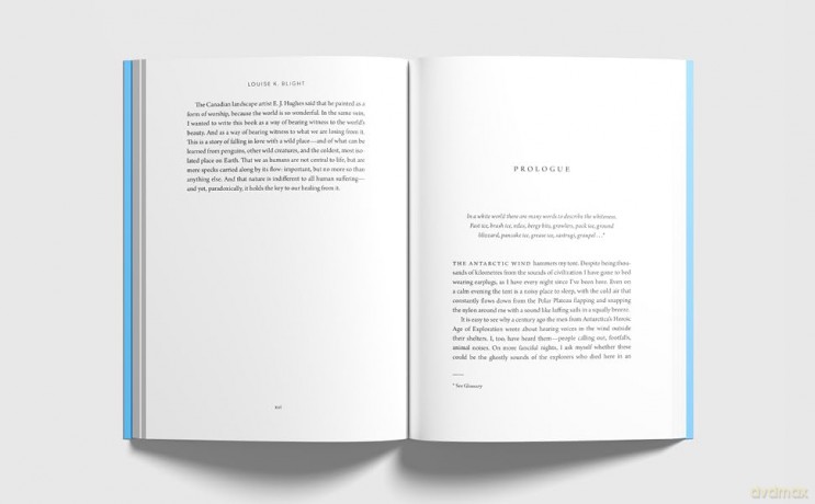 Where the Earth Meets the Sky: Penguins, People and Place in Antarctica - Louise K Blight [KSIĄŻKA]