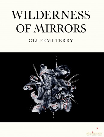 Wilderness of Mirrors - Olufemi Terry [KSIĄŻKA]