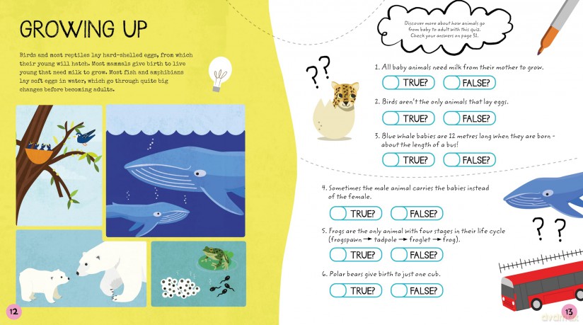 Wildlife Activity Book: Activities for Little Zoologists (STEM Starters for Kids) - Sam Hutchinson [KSIĄŻKA]