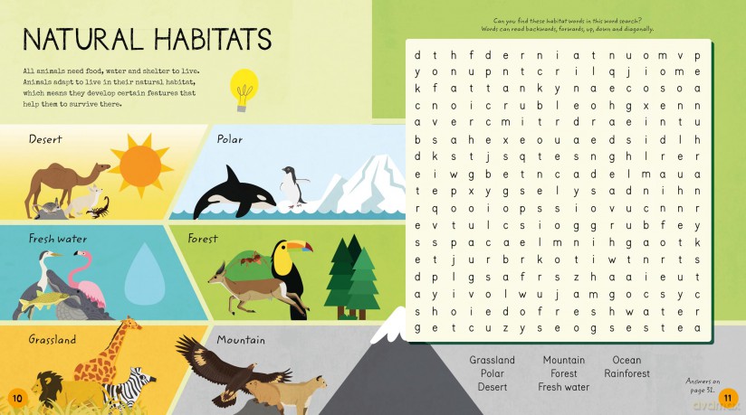 Wildlife Activity Book: Activities for Little Zoologists (STEM Starters for Kids) - Sam Hutchinson [KSIĄŻKA]