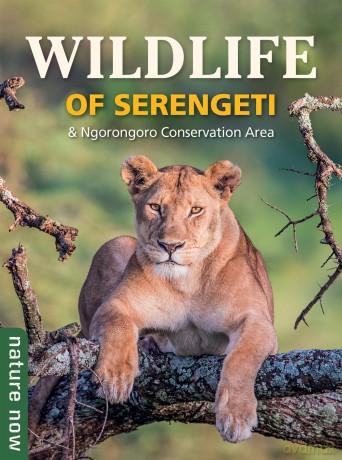 Wildlife of Serengeti & Ngorongoro Conservation Area (Nature Now) - Jean Du Plessis [KSIĄŻKA]