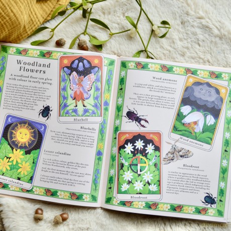 Woodlore: Discover the seasons and stories of the forest - Kevin Parr [KSIĄŻKA]