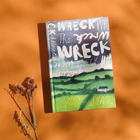 Wreck - Lizzy Stewart [KSIĄŻKA]