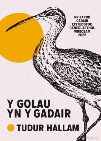 Y Golau yn y Gadair - udur Hallam [KSIĄŻKA]