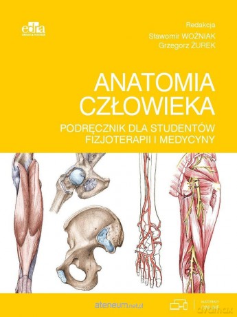 Anatomia człowieka. Podręcznik dla studentów... - Sławomir Woźniak, Grzegorz Żurek [KSIĄŻKA]