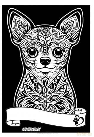 Kolorowanka welwetowa A4 Chihuahua