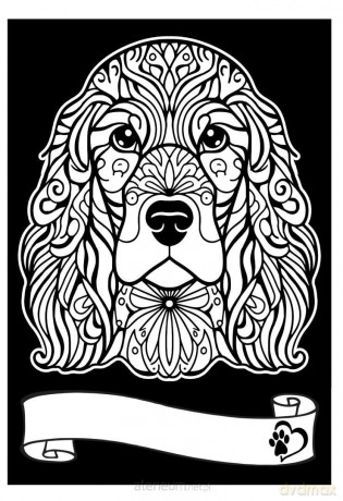 Kolorowanka welwetowa A4 Cocker Spaniel