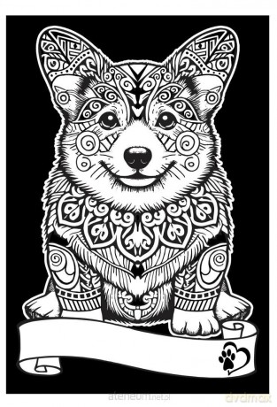 Kolorowanka welwetowa A4 Corgi