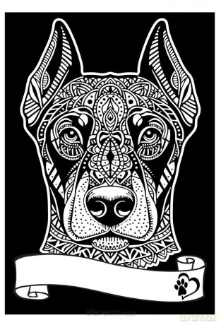 Kolorowanka welwetowa A4 Doberman