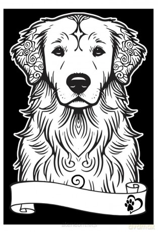 Kolorowanka welwetowa A4 Golden retriever