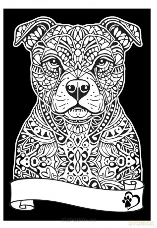 Kolorowanka welwetowa A4 Pitbul