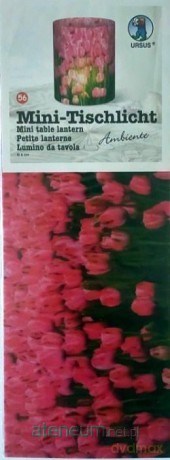 Mini lampiony Ambiente 5 arkuszy 10x27cm