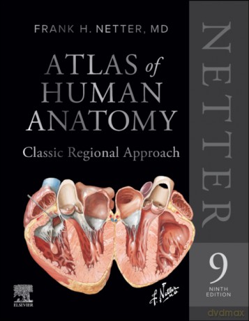 Netter Atlas of Human Anatomy. Classic Regional Approach - Frank H. Netter [KSIĄŻKA]