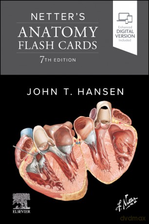Netter's Anatomy Flash Cards - John T. Hansen [KSIĄŻKA]