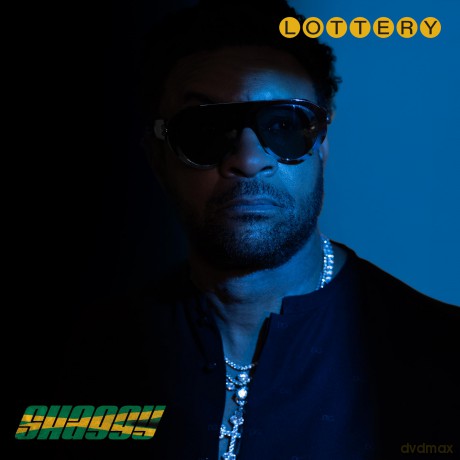 Shaggy: Lottery [CD]
