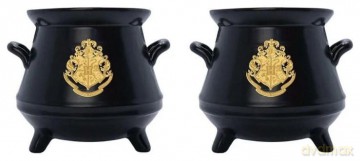 Harry Potter 3D Salt and Pepper Shaker Cauldron