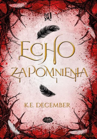Echo zapomnienia - K.E. December [KSIĄŻKA]