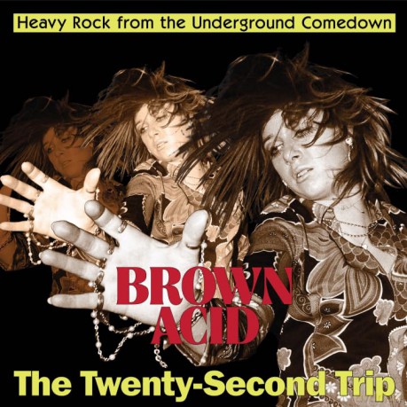 Brown Acid: The Twenty-Second Trip [Winyl]